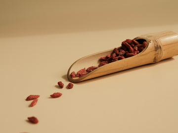 一年四季皆可服用:枸杞