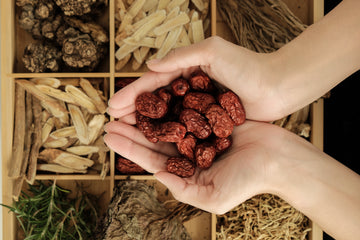 紅棗:功效甚多的補血聖果!