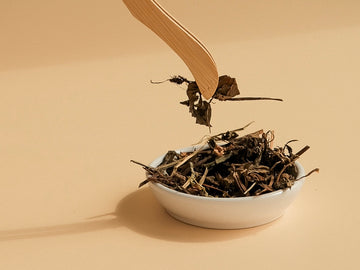 魚腥草:中藥界的抗生素