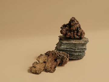 川芎:上行頭目,下調經水