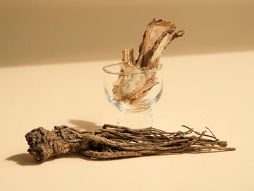 享有藥王之稱的多年生植物:當歸