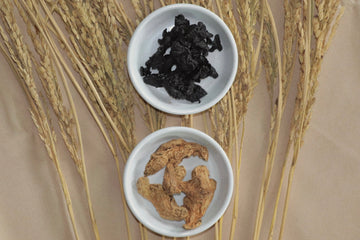 地黃家族的三種身份🌟