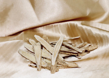 中藥材補氣界的翹楚:黃耆