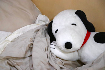 連假玩樂打亂作息?好眠妙招懶人包